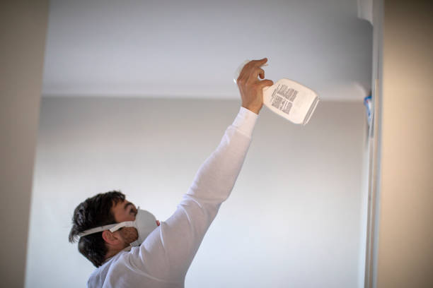 Best Certified Mold Removal  in Murillo, TX