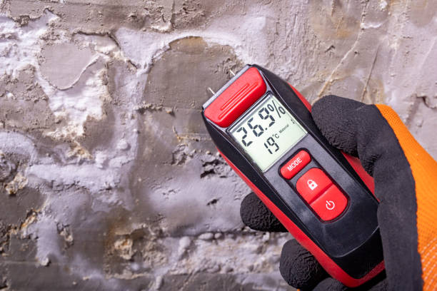 Best Mold Remediation  in Murillo, TX