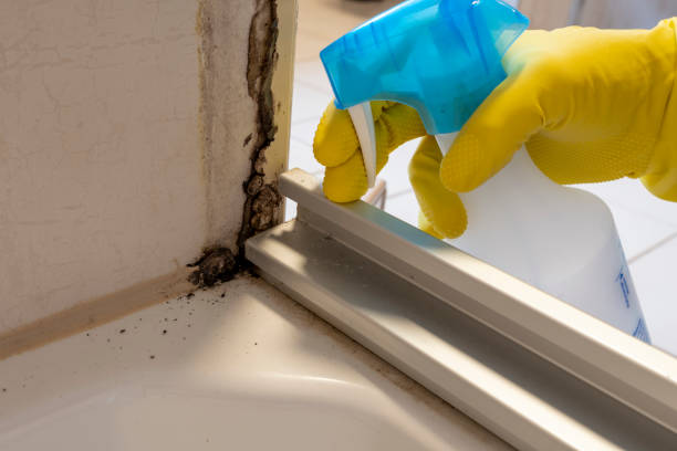 Best Mold Testing  in Murillo, TX