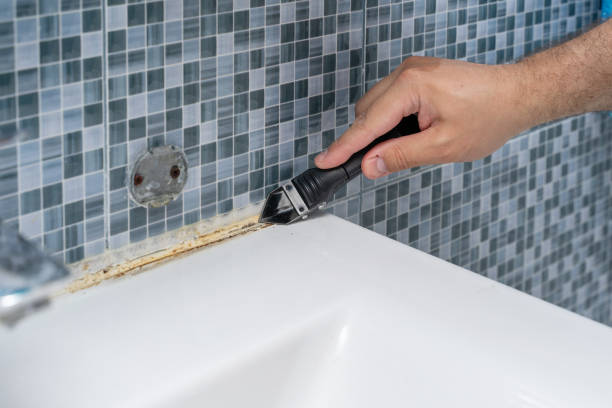 Best Mold Damage Repair  in Murillo, TX