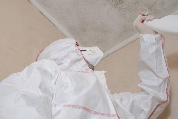 Best Mold Cleaning Services  in Murillo, TX
